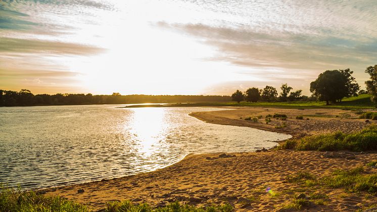 Fast wie am Mississippi : Das Biosphärenreservat Flusslandschaft Elbe-Brandenburg