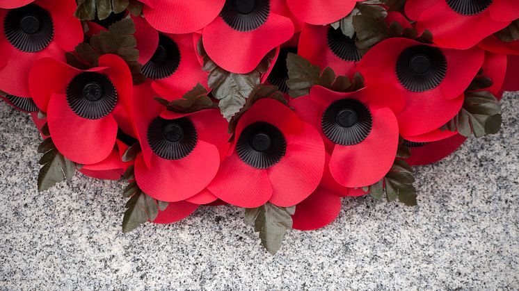 Armistice Day and Remembrance Sunday