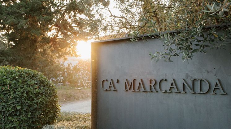 Ca'marcanda estate