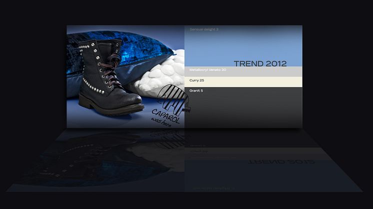 Höstens trendfärger hos Caparol – Trend 2012