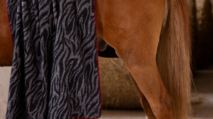 Byon AW25