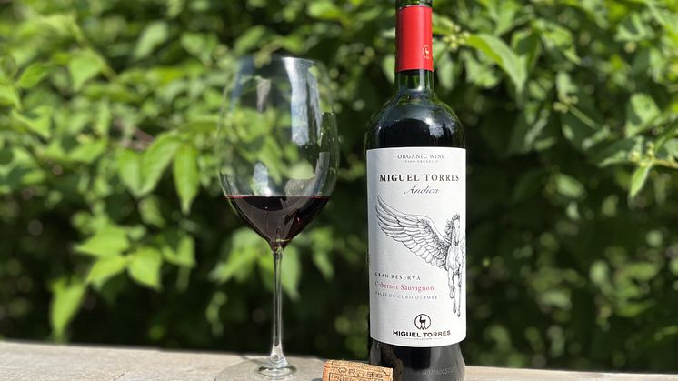Andica-Cabernet-Sauvignon-Torres-Chile2.jpg