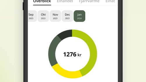 overview.webp