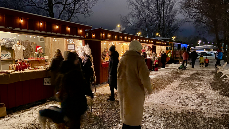 Christimas lights in Alingsås 2 Julmarknad på Nolbygård_foto_Gro Hansen Johnsson.png