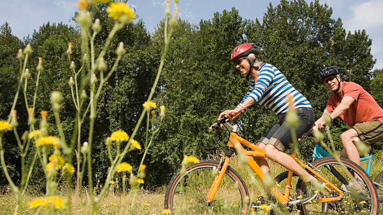 Sommer, Sonne, Sport: Radtouren halten fit und kräftigen die Muskulatur. (Foto: Biolectra/Image Source/Charles Gullung)