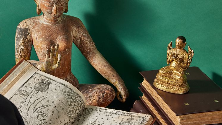 The Rare Books, Maps & Manuscripts Collection
