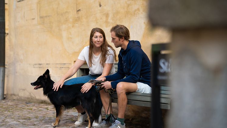 Kalmar Slott_hund inre borggården
