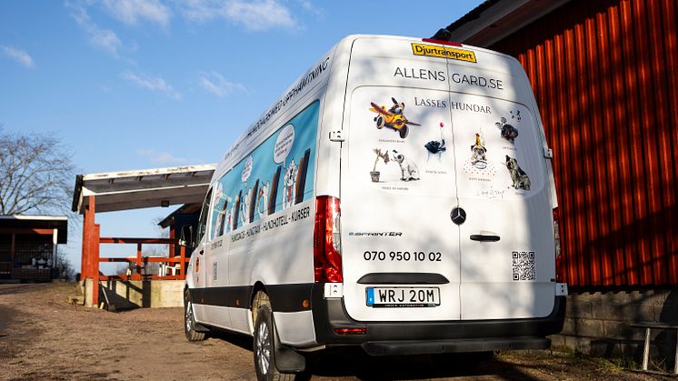 eSprinter Hundtaxi