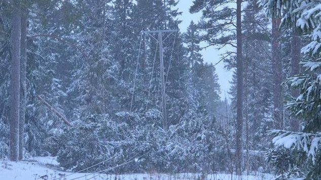 Dagsaktuellt foto från Umeå Energis medarbetare ute i fält. 