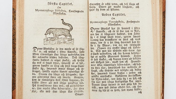 Den första svenska handboken i zoologi av Magnus Orrelius