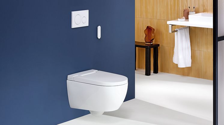 2024_Geberit AquaClean Alba_Private_Remote control_Sigma20_ONE_Option_Original.tif