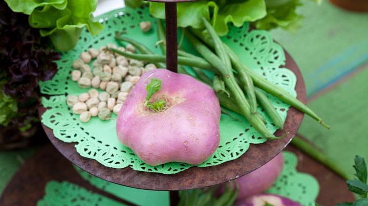 Välkommen till blomstrande inspiration med Minna Mercke Schmidt + sju sorters kakor