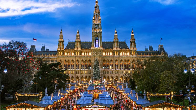 Vienna christmas market.jpg