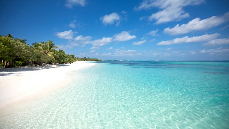 Vit strand Maldiverna