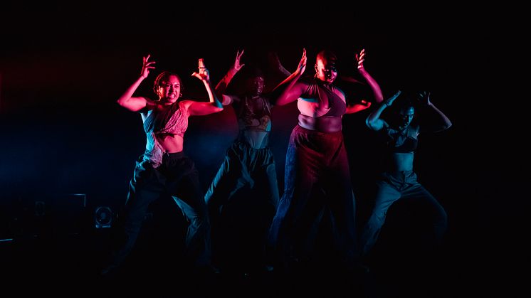 Company Nicolas Huchard - The barefoot diva