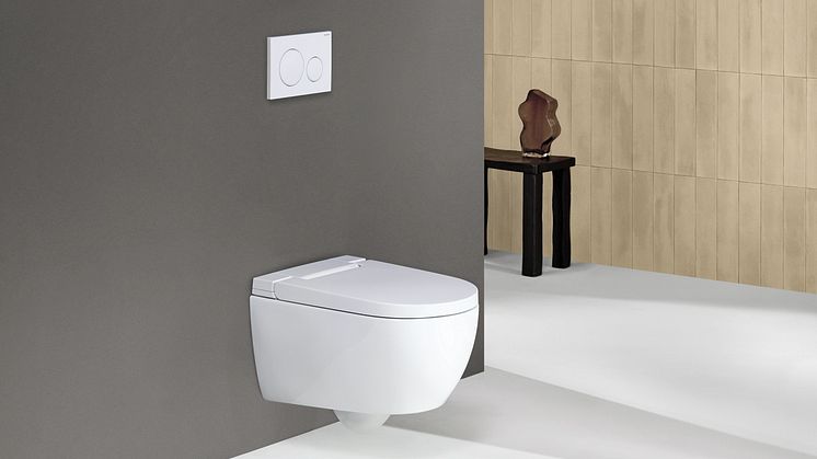 2024_Geberit AquaClean Alba_Private_Sigma20_grey_deco_Original.tif