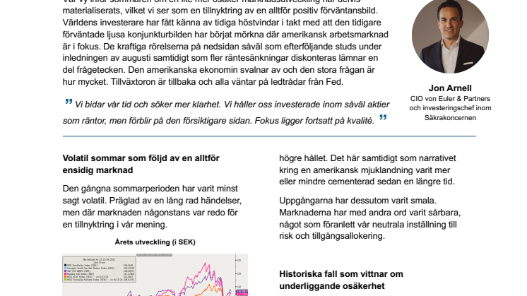 Marknadssyn augusti 2024