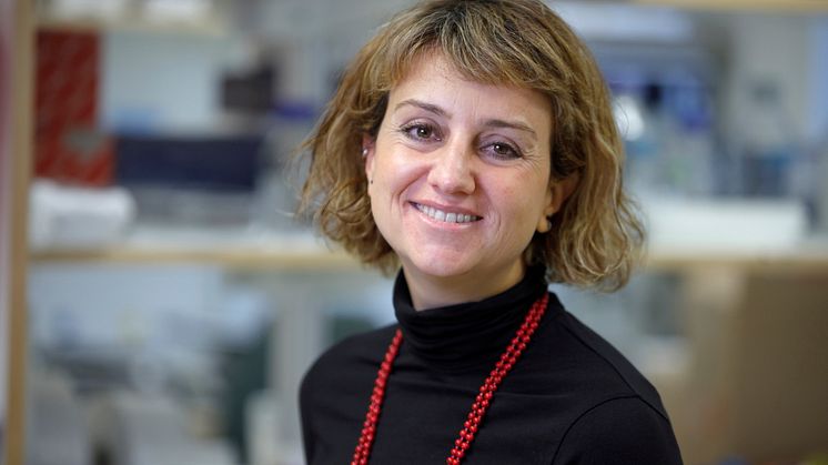 Francesca Aguilo