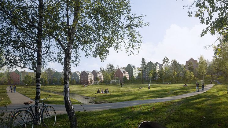 Norra Campusparken, Umeå