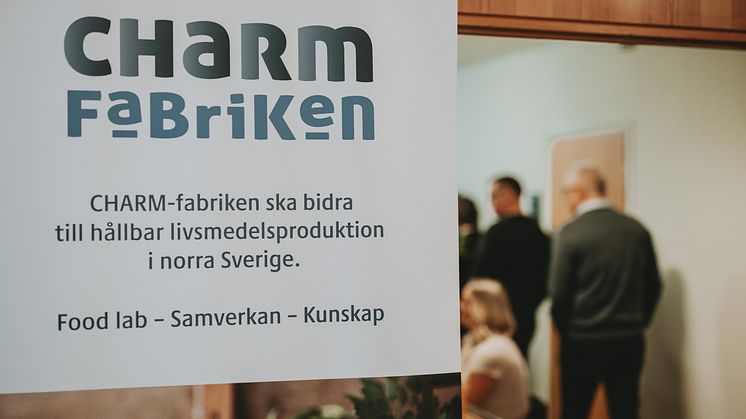 CHARM-fabrikens tidigare nätverksträff, fotograf Fanny Berglund 5.jpg