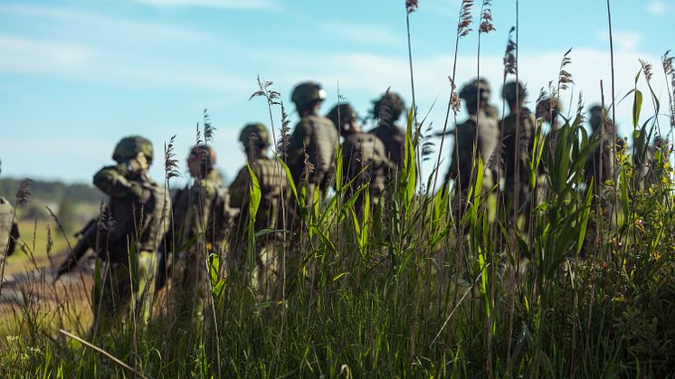 Uppställda soldater på en äng.  Fotograf: Joel Thungren / Försvarsmakten