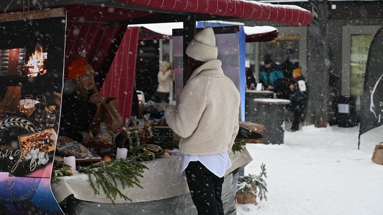 Se vad över 100 utställare har att erbjuda
