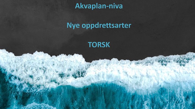Torskeoppdrett ved Akvaplan-niva
