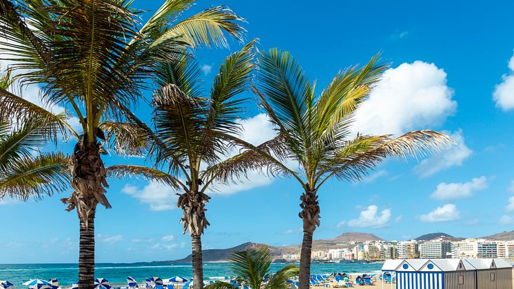 DEST_SPAIN_LAS_PALMAS_LAS_CANTERAS_BEACH_PALMTREES_GettyImages-1875229858_Universal_Within usage period_100829.jpg