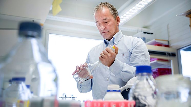 Stefan Björklund, professor vid Institutionen för medicinsk kemi och biofysik, Umeå universitet, i sitt labb. Foto: Johan Gunséus.