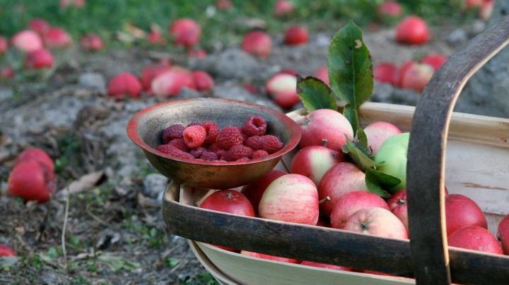 HUSMANSBORD OCH JAKTEN PÅ SVERIGES BÄSTA LANDSKAPSMAT KOMMER TILL SKÅNE