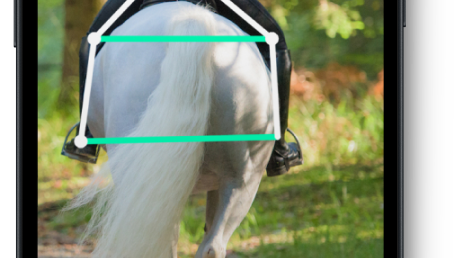 Ridesum AI Behind LOW.png