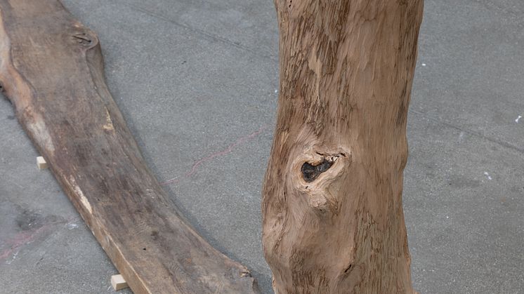 Jordana_Loeb_Apple pilars: echo.jpg