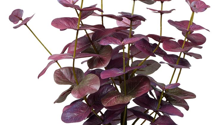 NYHET! Pot plant Eucalyptus 46 cm Wine red Artificial material 12,90 EUR.jpg