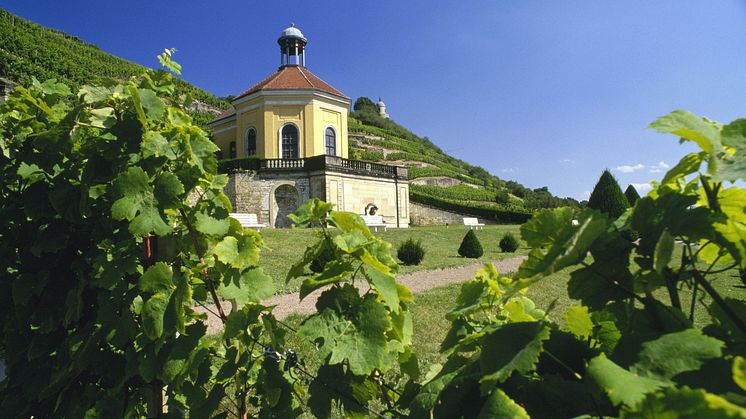 Radebeul_Steilterrassen_des_Wackerbarth,_Weinregion_Sachsen,_Sächsische_Weinstraße.tif