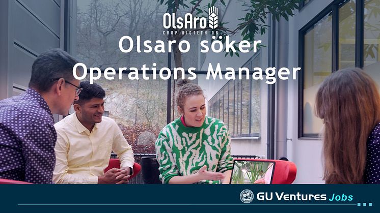 Olsaro job.jpg