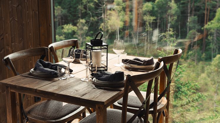 Hyssna Forest Resort - Treetop Cabin Foto_ Hyssna Forest Resort 9.jpg
