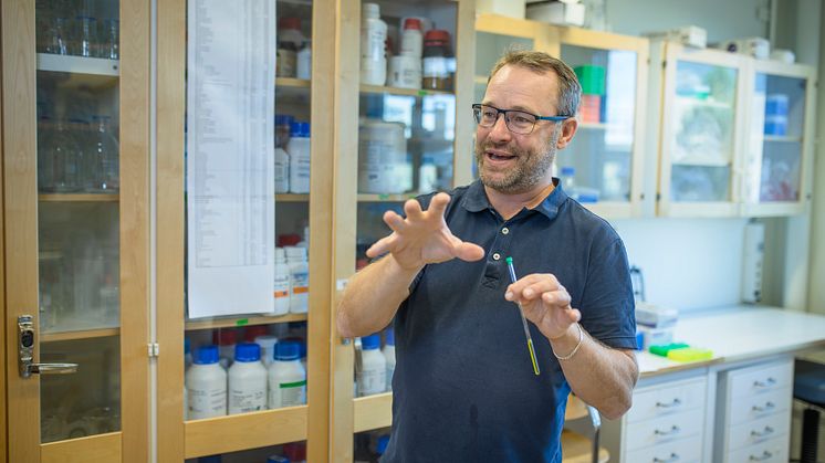 The Umeå professors' discovery is important for understanding a variety of biological processes in cells. Photo: Mattias Pettersson