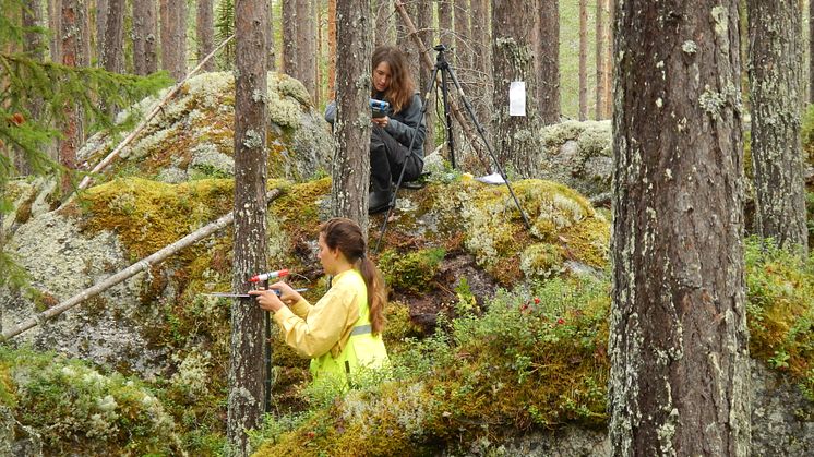 2024-05-02 Seminarium: Vad innebär EU:s lagstiftning om skogsövervakning och skoglig planering i Sverige?
