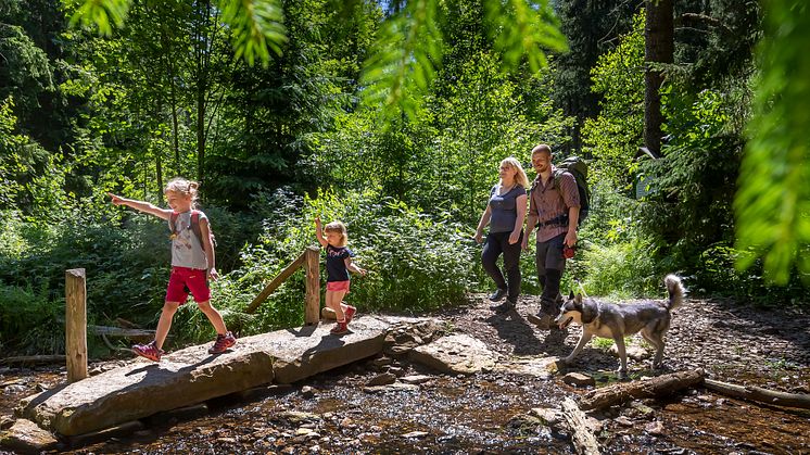 Wander_Wald_Familie_Geyer_20_Foto_TVE_Uwe Meinhold.jpg