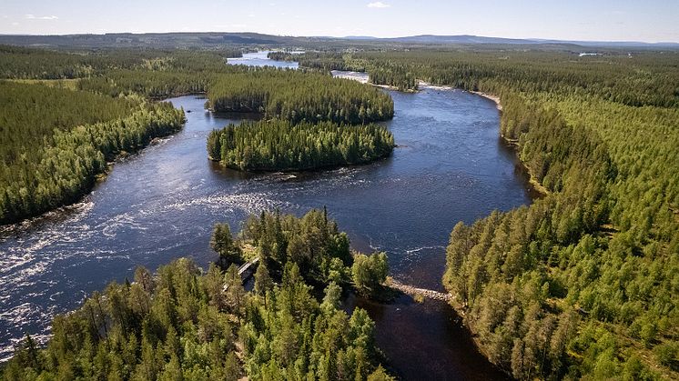 En resa längs den outbyggda Vindelälven och dess biflöden.