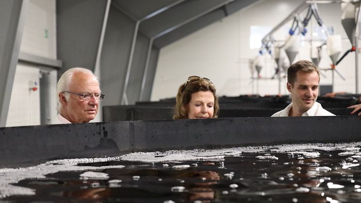 Kungen & Drottningen på besök hos Gårdsfisk 