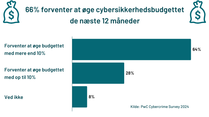cybersikkerhedsbudget-20242025.png