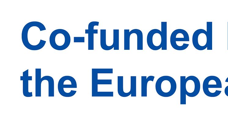 EN Co-funded by the EU_PANTONE.jpg