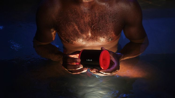 LELO F2S masturbator