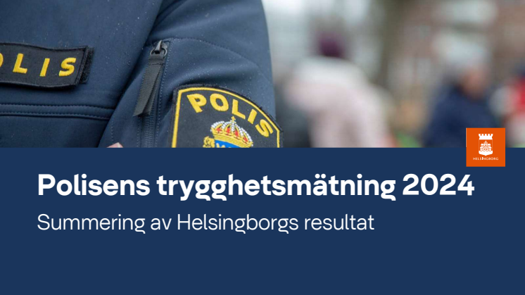 Polisens trygghetsmätning 2024_sammanfattning.pdf