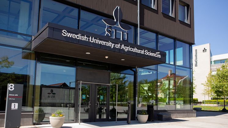 SLU_240522_7242_jsg.jpg