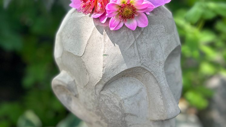 Årets Victoriadahlia 2025 - ’Starburst Pink’
- en Anemonblommig Sommardahlia som det påtagligt sprakar om.
