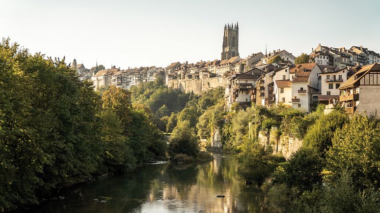 Fribourg 