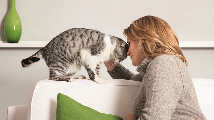 Fressnapf_Bild 2_Weltkatzentag.jpg