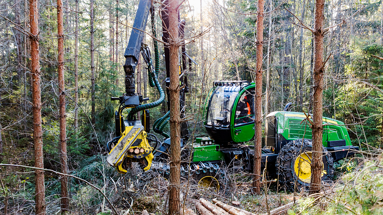 Lättnader i restriktionerna i den smittade zonen i Västmanland innebär bland annat att skogsbruk kan ske som normalt. Foto: Thomas Adolfsén, Scandinav bildbyrå